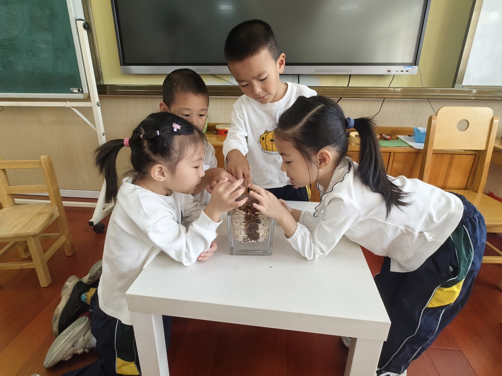 C:\Users\shaun-xy\Desktop\蘑菇\微信图片_20231022215609.jpg微信图片_20231022215609
