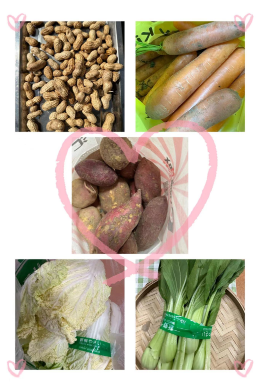 4cb83efd57a54f3eb531a3dc5e93a87c.png