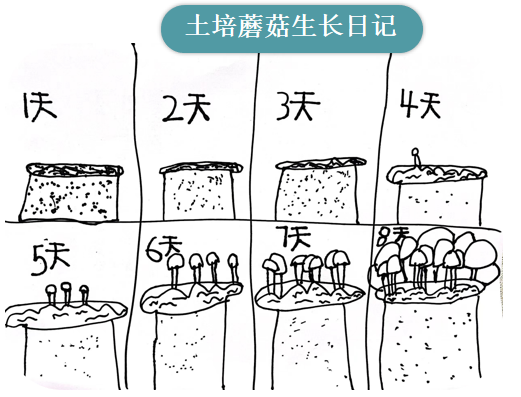 9ddb93e4be5c4ef0a3b323ee5cd896ac.png