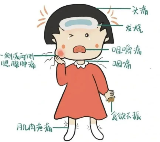 a7fcc019dcff4121b4bd8f644c670f0b.png