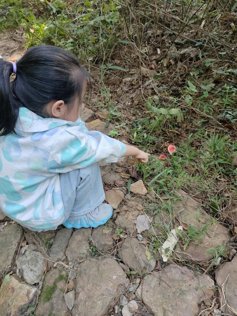 C:\Users\hp\Desktop\微信图片_20231024143603.jpg微信图片_20231024143603