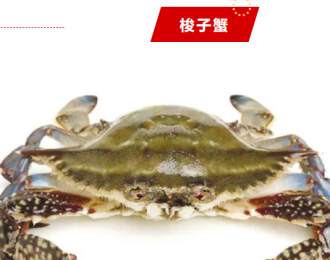 0fd7725d3dbd4e629c1c7e548d3053a9.png