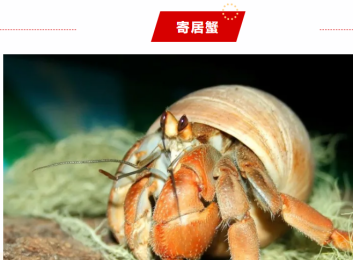 14539f216f8d4c5ab7ea015b0d90fc30.png