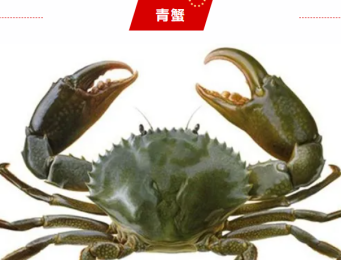 2028ab3a1021412eb5c284c9045df841.png