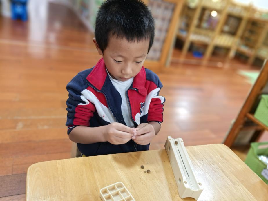 微信图片_20241103235040