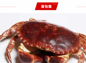 48a480a0e98646e4ae8de496b4fd52fa.png