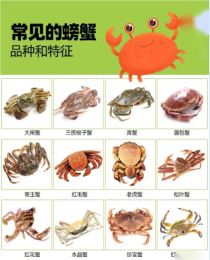8c6bf9ec29704423ac1c808f20eafe40.png