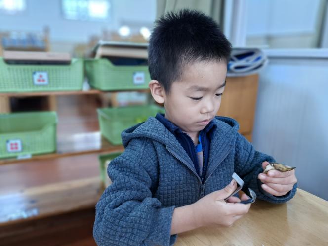 微信图片_20241103235032