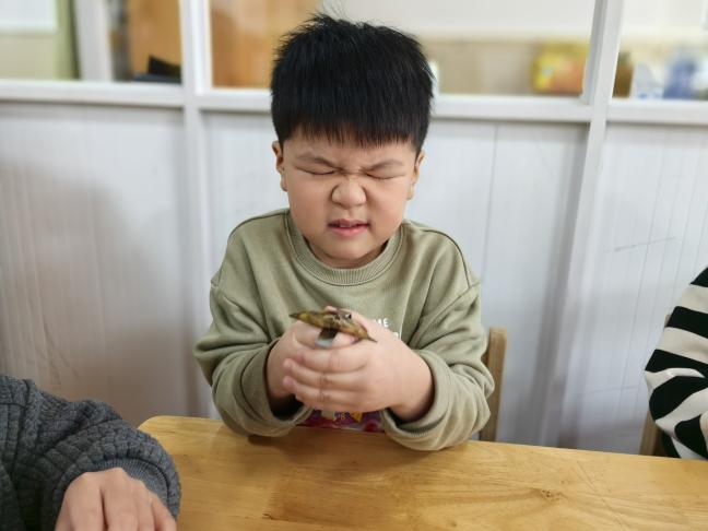 微信图片_20241103235031