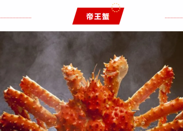 dbbdd9f5a5cb4c679ac9616f2eb957f8.png