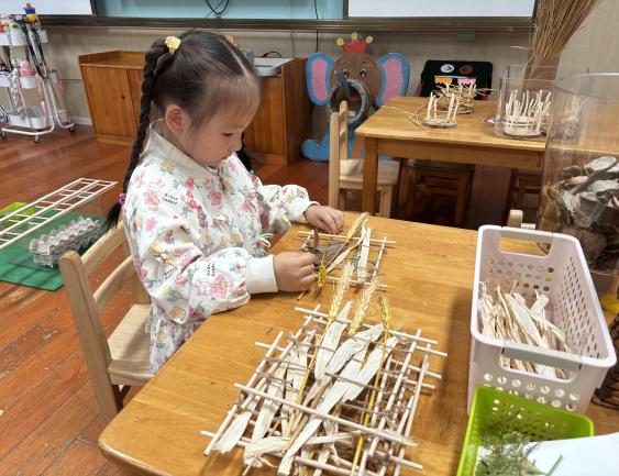 微信图片_20251030185022_91_9