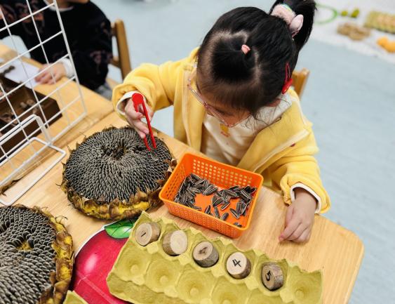 微信图片_20251030184709_6_50