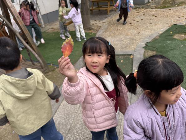 d08e3144c7251161f7c4515ce6bd77d2