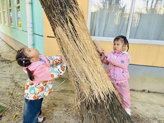 e2f2f77054959e6bdb85d5f72d0ba80