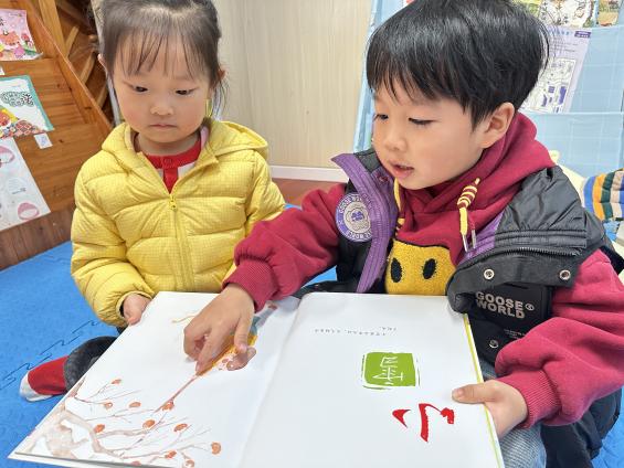 ca3c9a57cf6d0fd80257a2fc43aa5ff