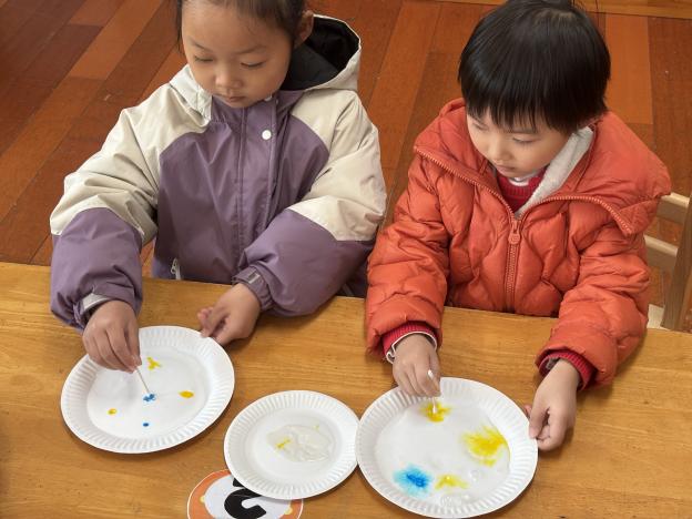 7709ceabb7df2ff23ea1767dfb28790