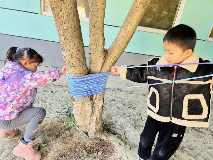 c12de913419364a7a5001a4867c9d17