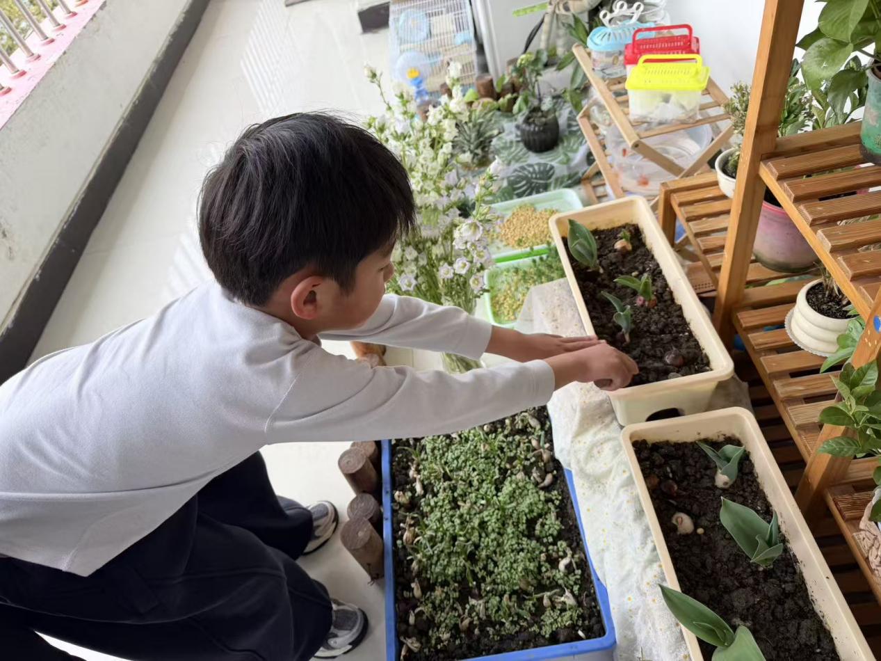 d605f3c2335c4f8dc367d23e5f290b93