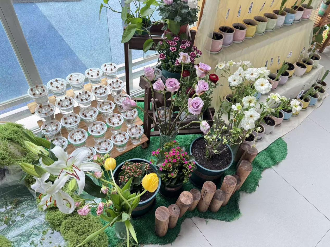 2a9685da6589b1ecc0ea9258909d5c78