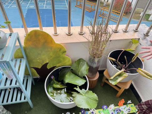 1d069cf452429e47a4f88c6a03d6cae0