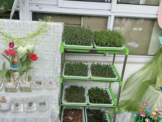 1ead0e15ddedf3a581ef89bfa9f80f90