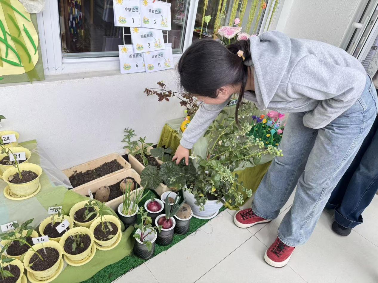 4a323596daa745d49c539bb25d6b5afa