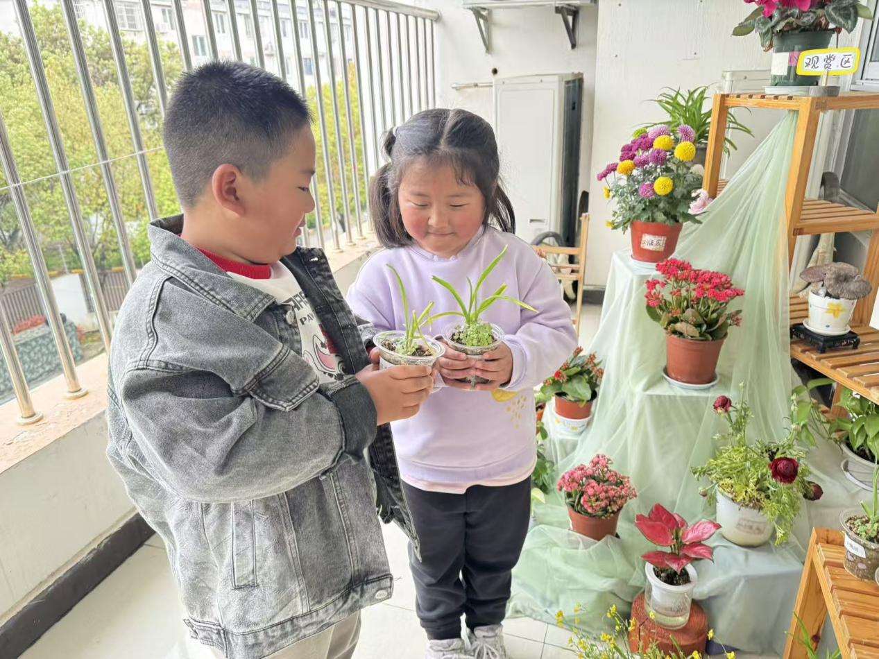 【香韵·播报】自然润童心 角落藏美好——香山实验幼儿园自然角观摩研讨活动