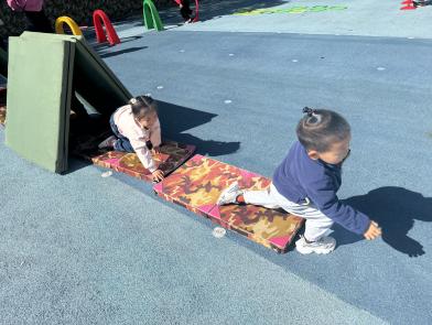 b48c77413a7f56b8516ed7d7a3541fb