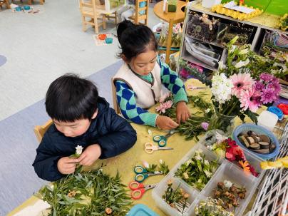 d86229a77f29ed56d92250690470720