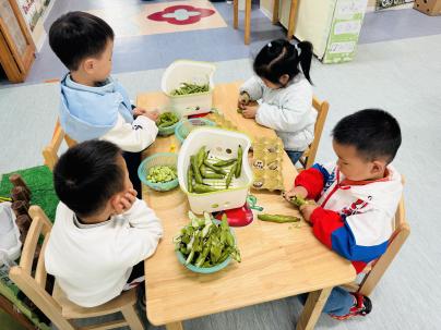 67bc26ed286be6e9af7853a203c3de8